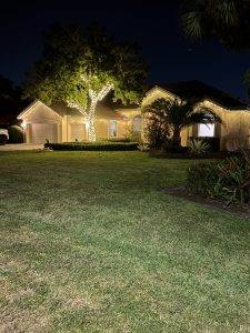 Florida Translucent Services, Llc (1)