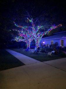 Florida Translucent Services, Llc (2)