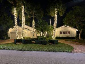 Florida Translucent Services, Llc (3)