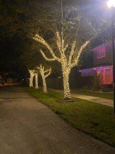 Florida Translucent Services, Llc (8)